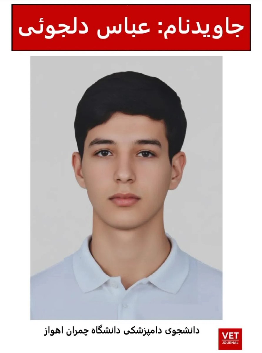 عباس دلجویی
