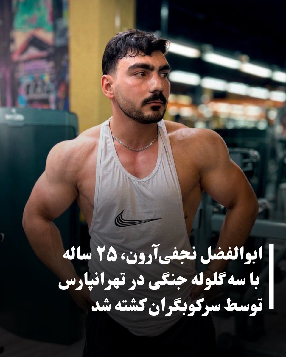 ابوالفضل نجفی آرون