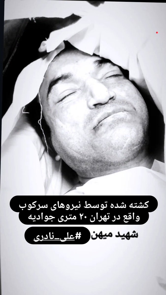 علی نادری