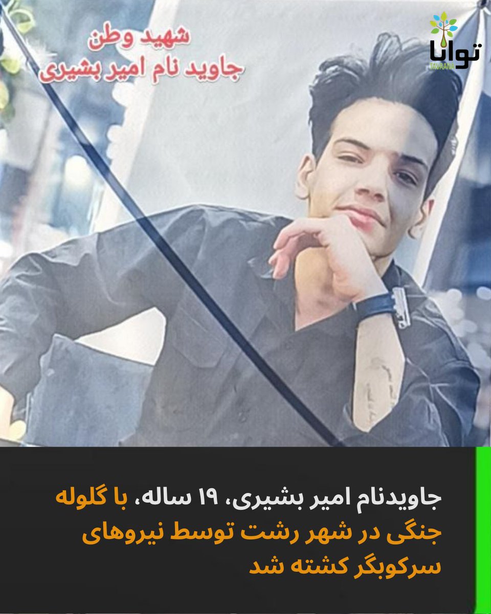 امیر بشیری چلکاسری