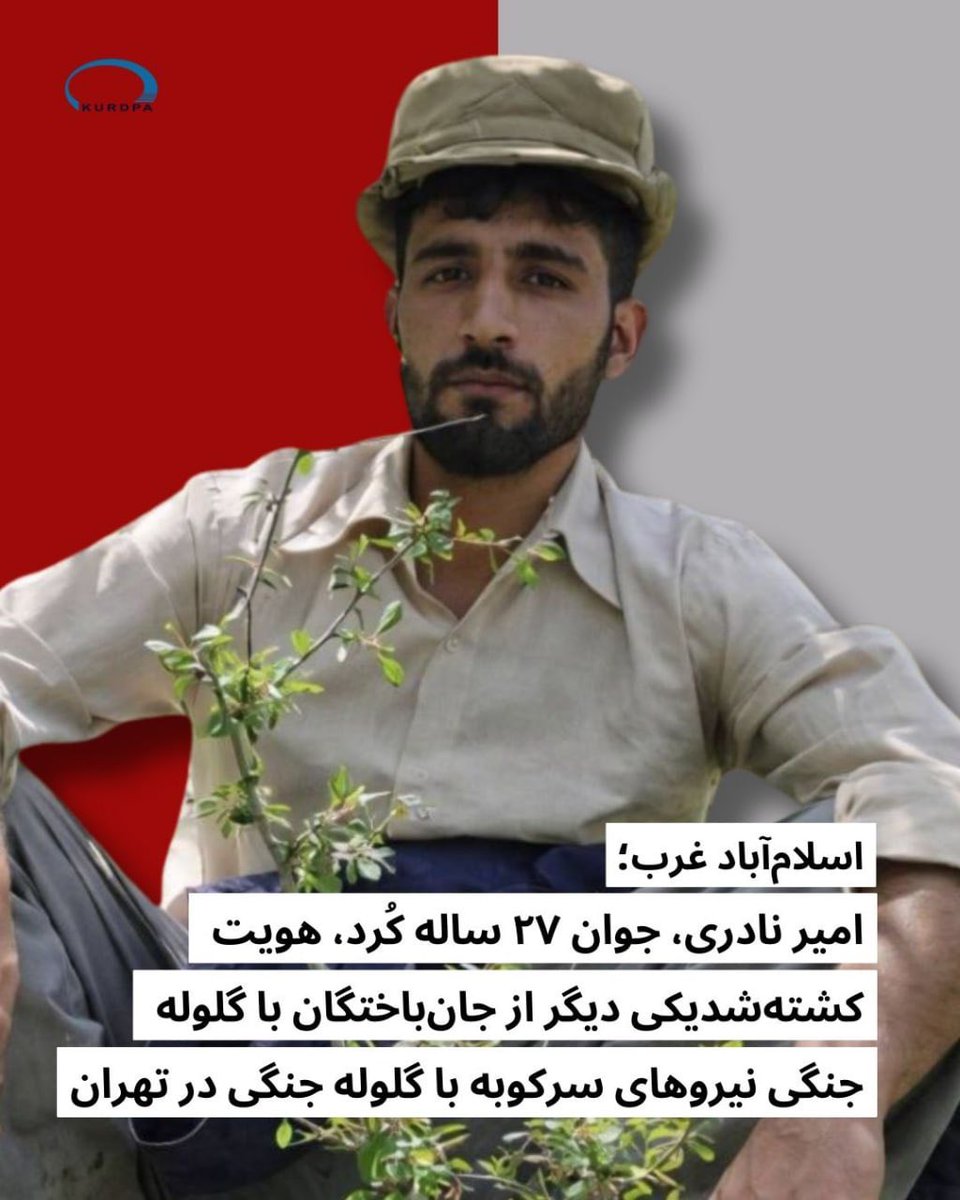 امیر نادری