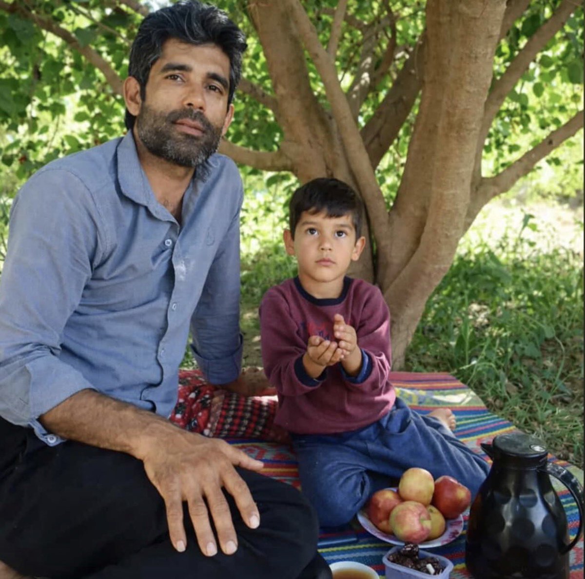 هادی شه‌ولی