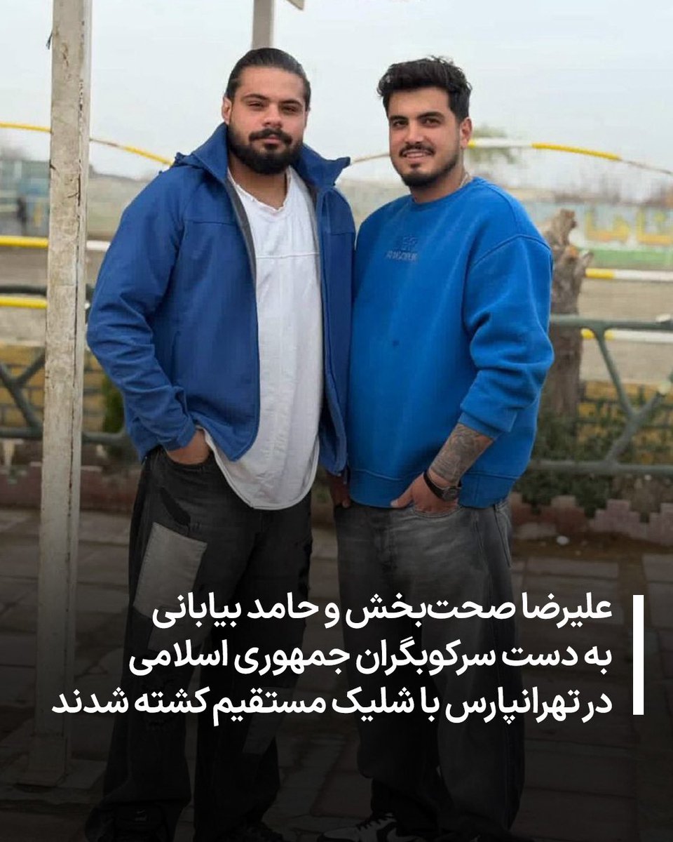 حامد بیابانی