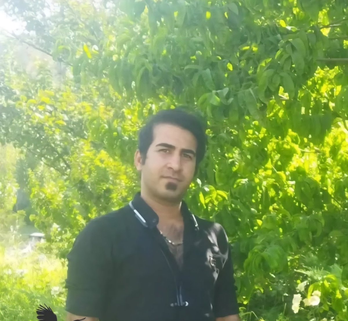 مسعود مرادی