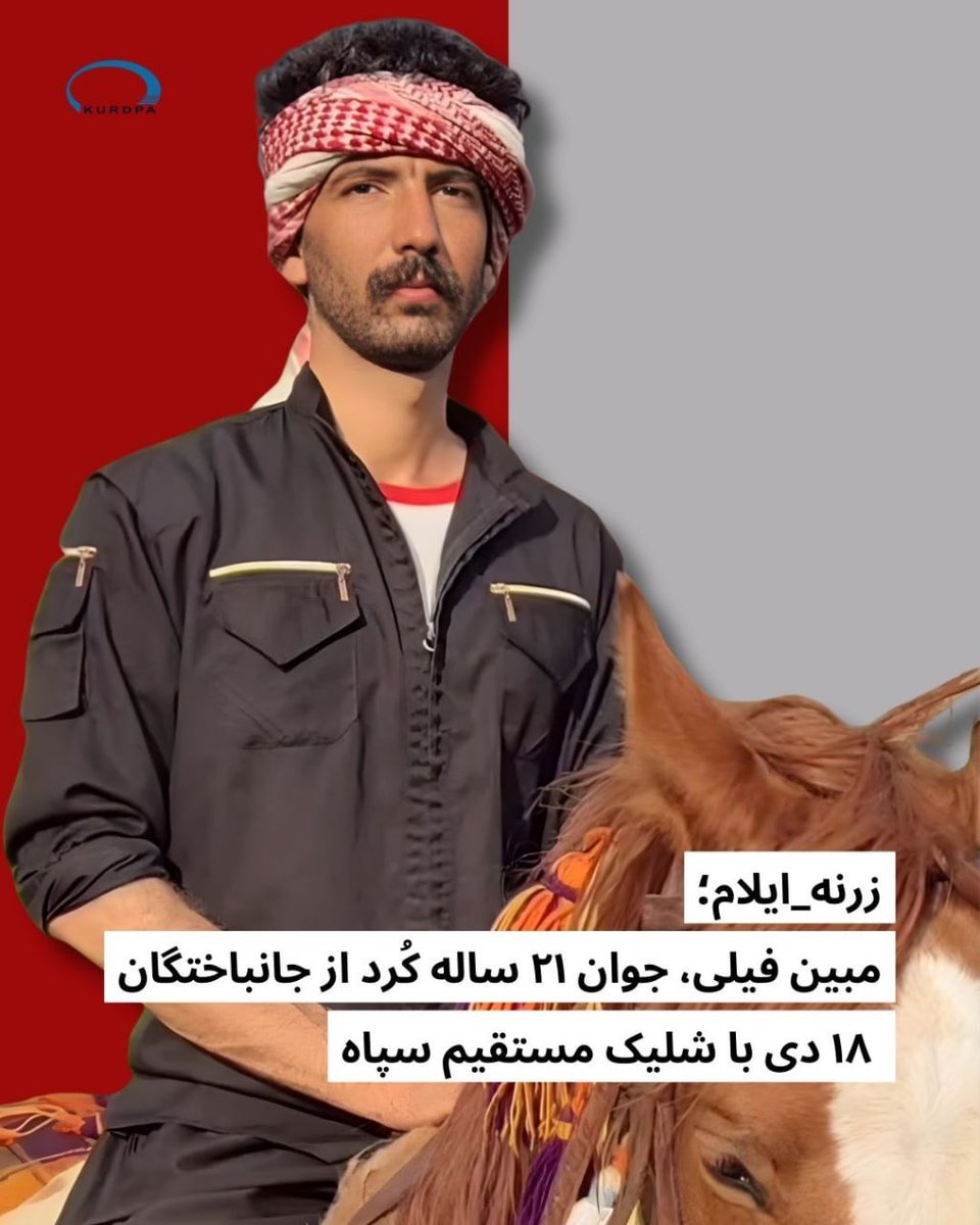 مبین فیلی