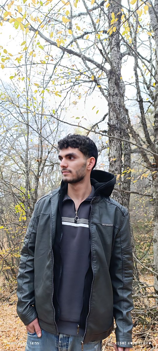 مهدی شمس آبادی