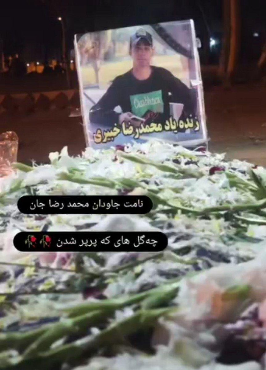 محمدرضا خبیری