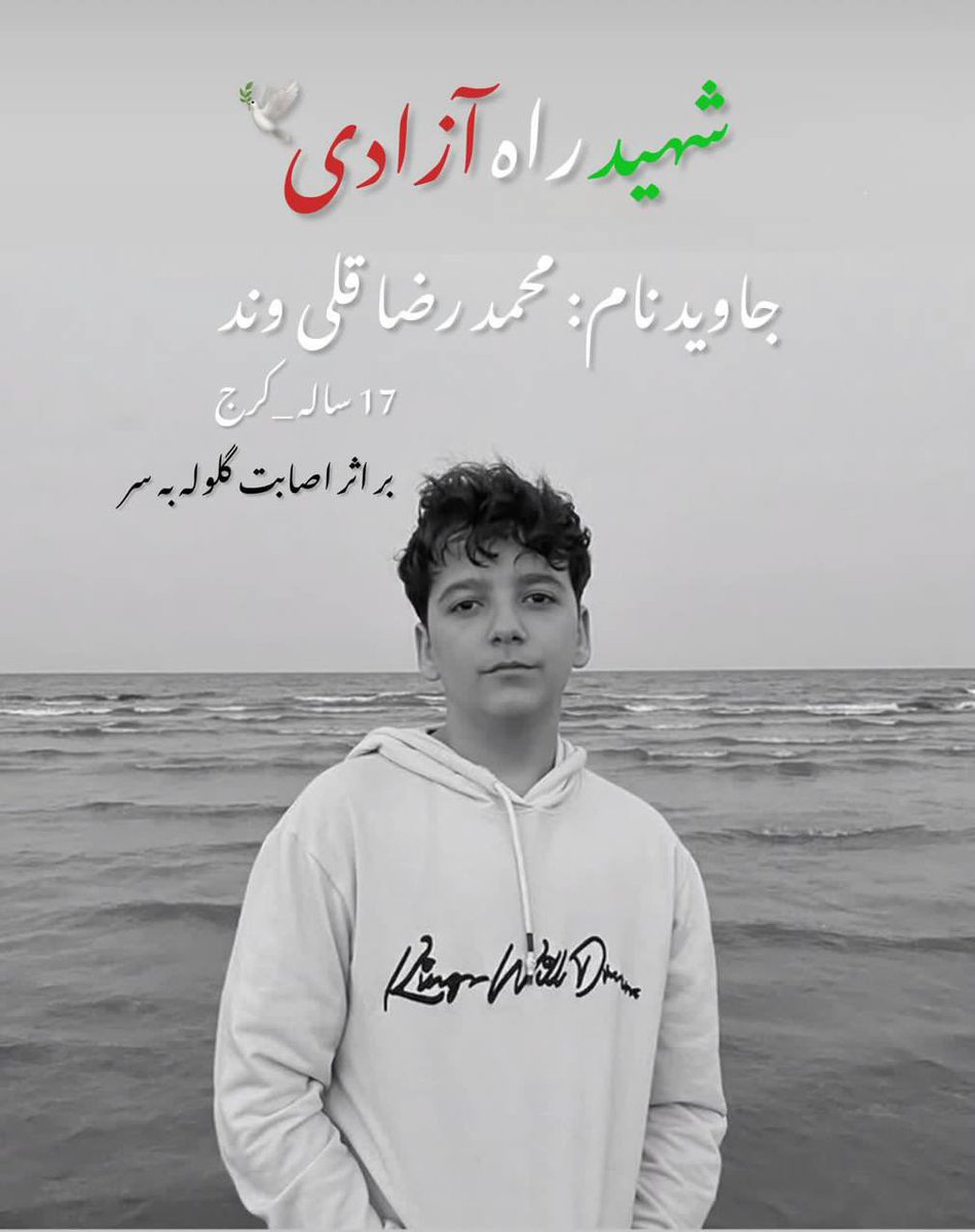 محمدرضا قلی‌وند