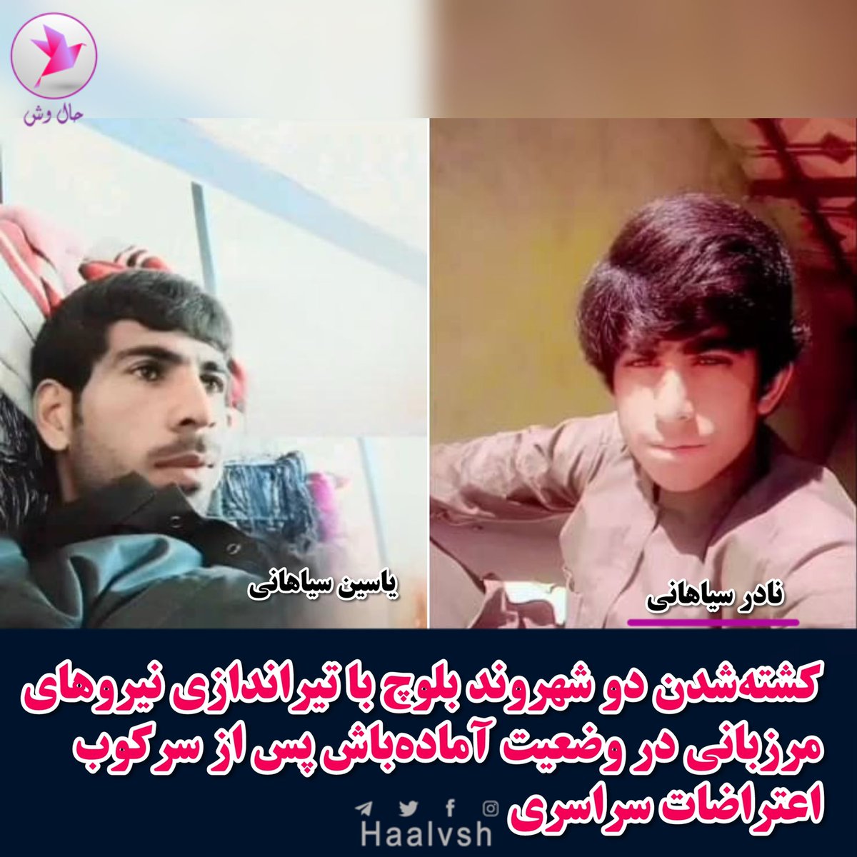 نادر سیاهانی