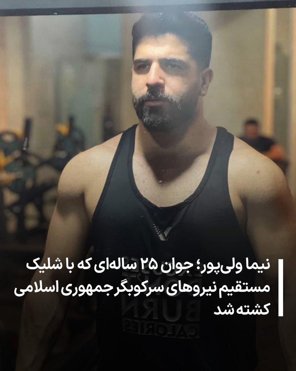 نیما ولی‌پور