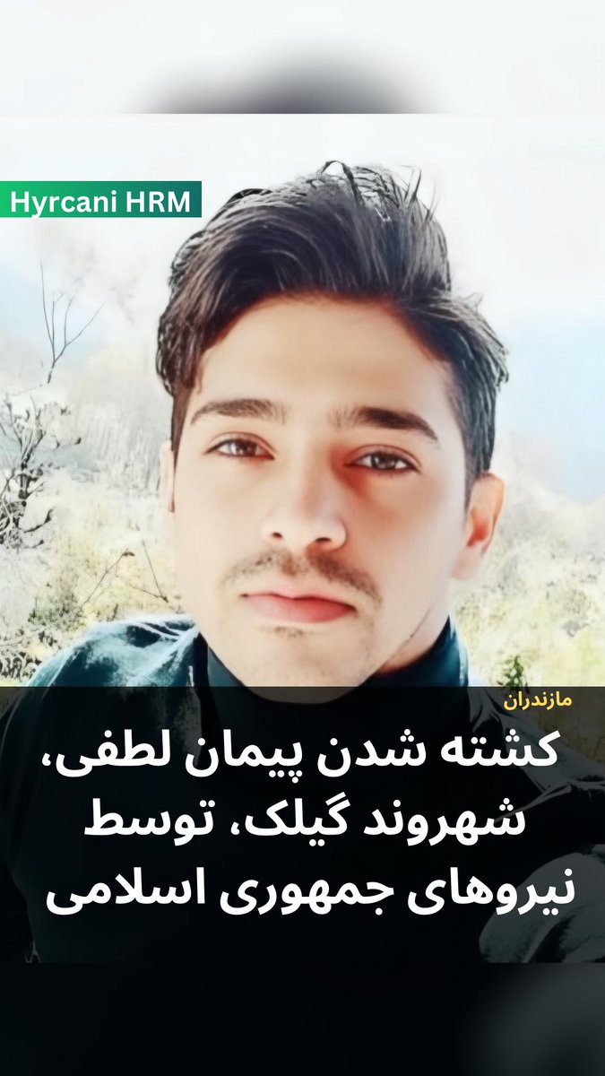 پیمان لطفی