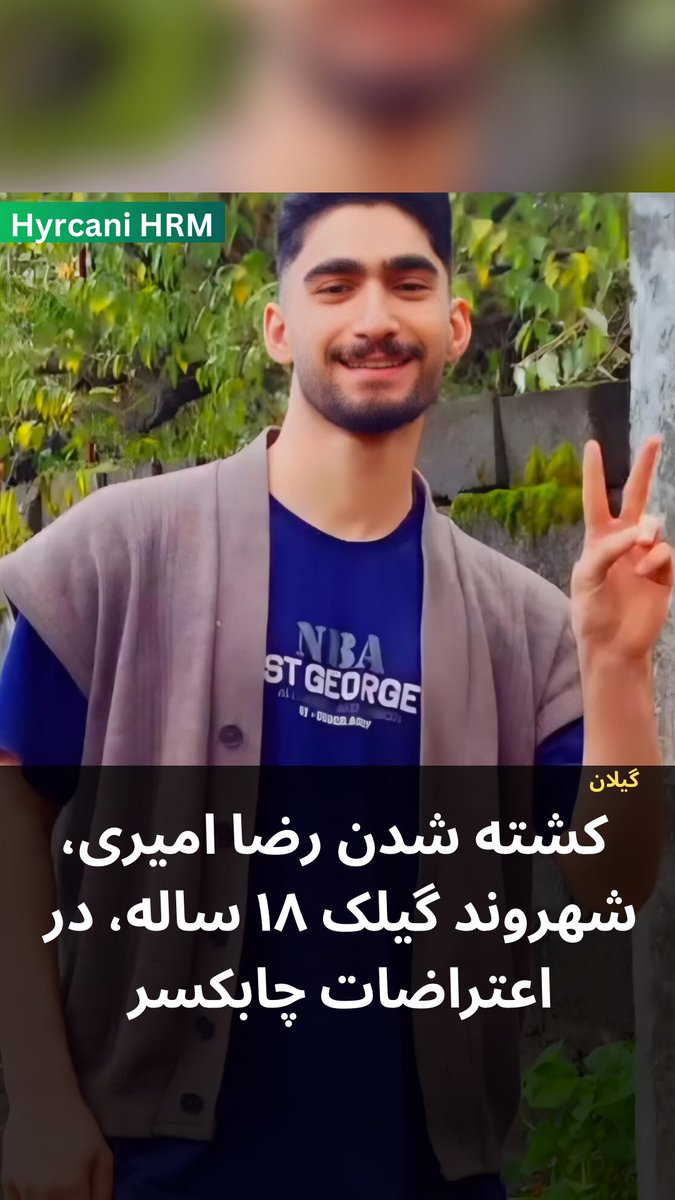 رضا امیری چایجانی